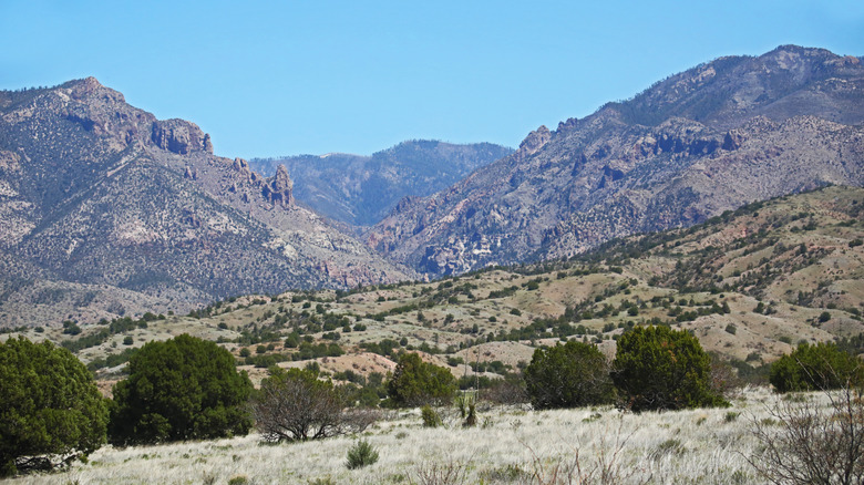 Mogollon Mountains, Gila National Forest