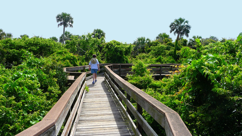 Turtle Mound Trail at Canaveral National Seashore