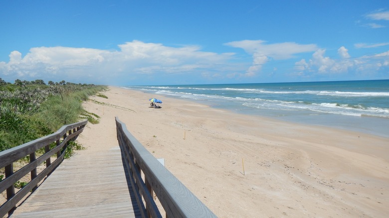 beach at Canaveral National Seashore