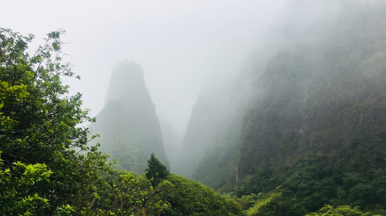 misty view of mysterious ioa park mountains