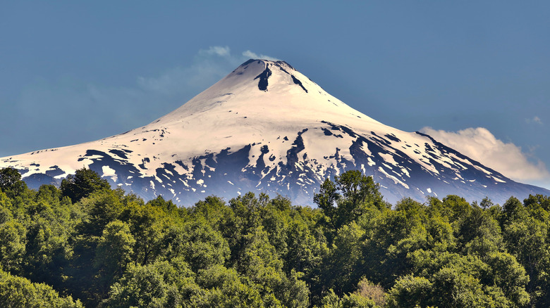 Snow-covered volcano above a forest