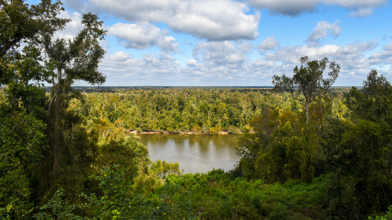 river trail at Torreya State Park