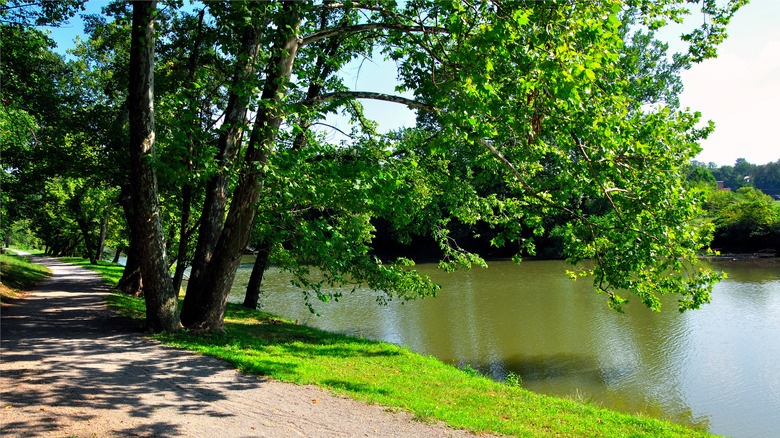 walking trail in Veteran's Memorial Park in Clarksburg, West Virginia