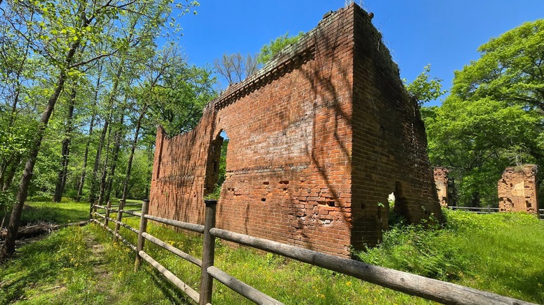 Crumbling brick ruins with lush plants growing around and on them at Scull Shoals, Georgia.