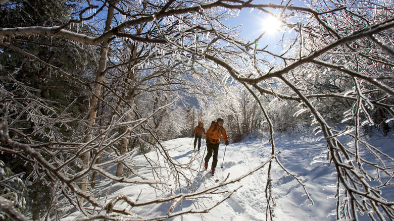 New England snow and two people on ski trail