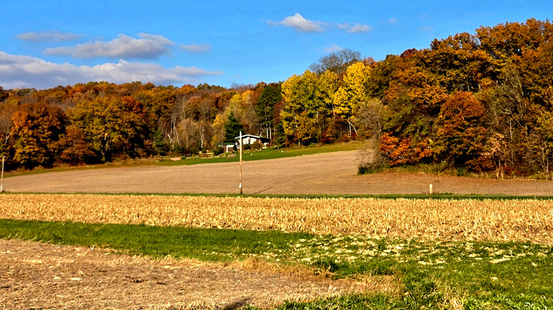 Fall colors in Jackson County, near Hixton village in Wisconsin