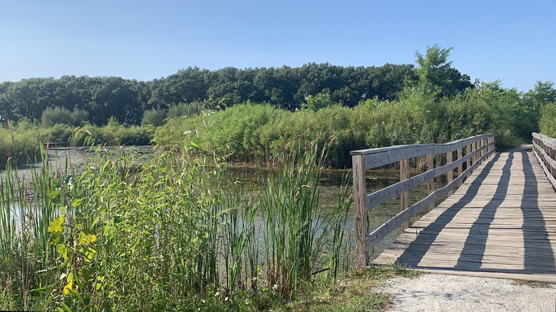 Trails and an over-pond boardwalk in the Izaak Walton Preserve in Homewood, Illinois