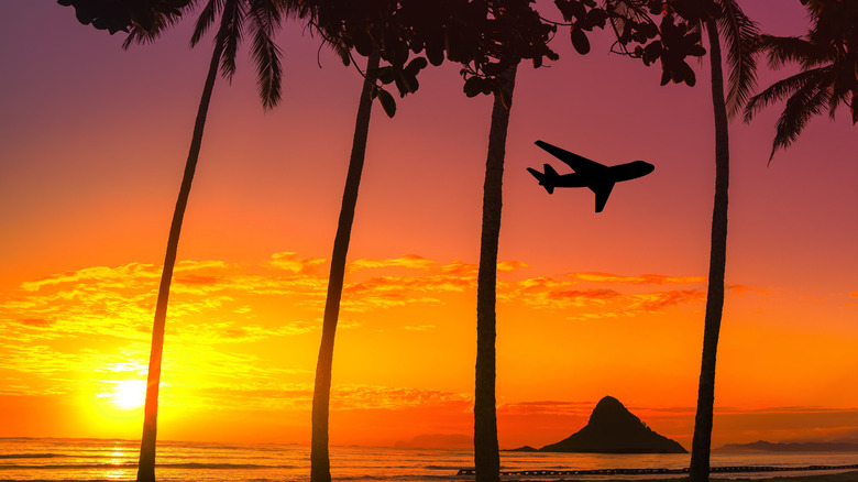 A jet plane flying over a an island with palm trees at sunset in Hawaii