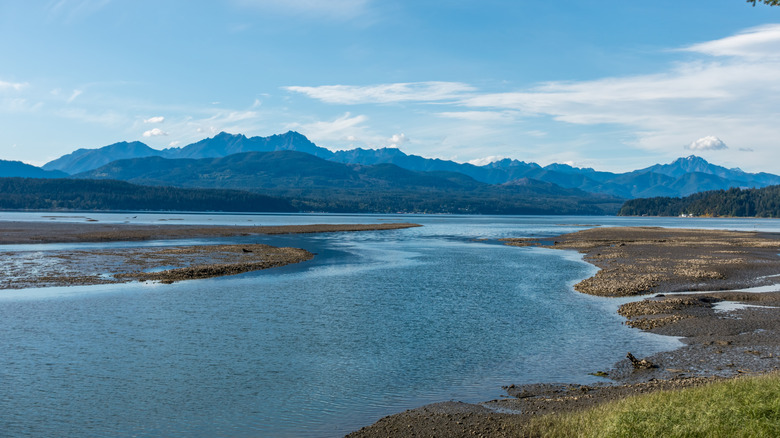 View of the Olympic Mountains from the Hood Canal