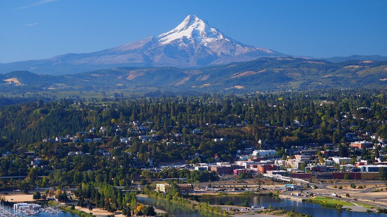 The city of Hood River with Mt. Hood in the background.