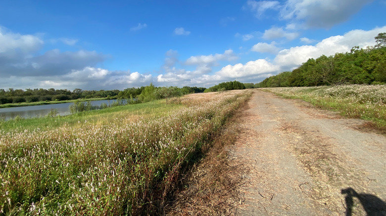 Dirt trail at Barker Reservoir in Houston, Texas