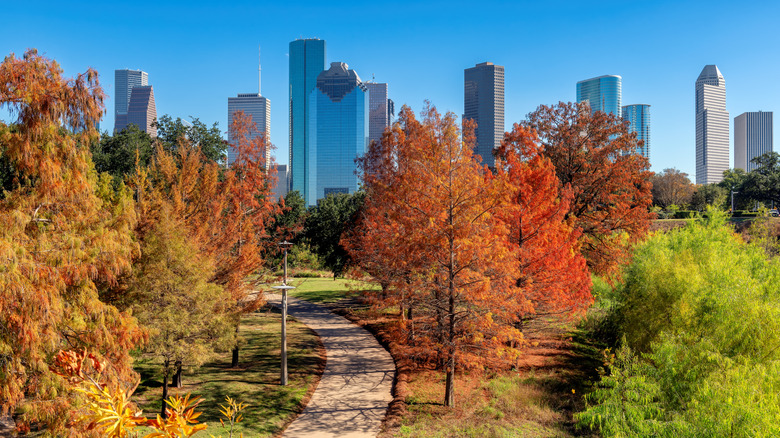 Houston skyline seen from a park with walking paths during autumn