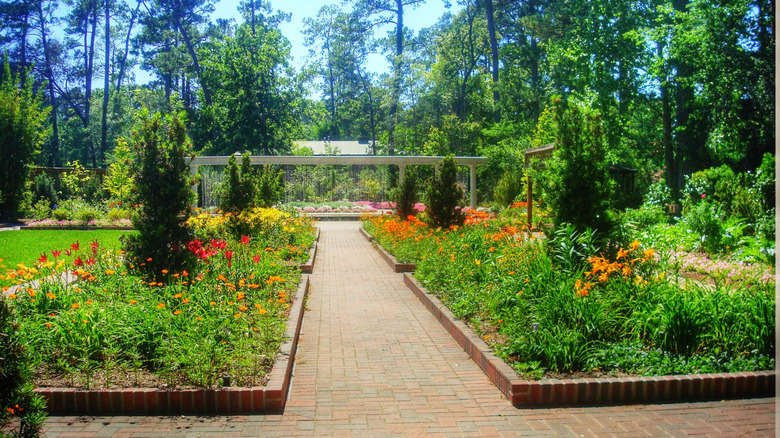 Mercer Arboretum and Botanic Gardens with flowers in bloom
