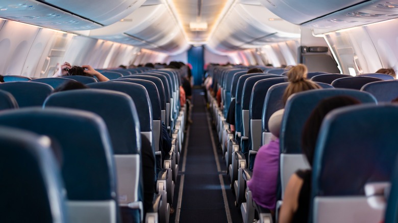 passengers on a plane