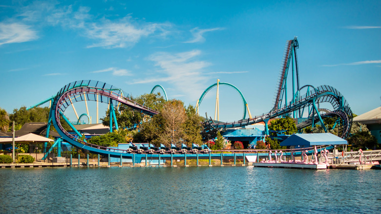 the Mako roller coaster at SeaWorld Orlando