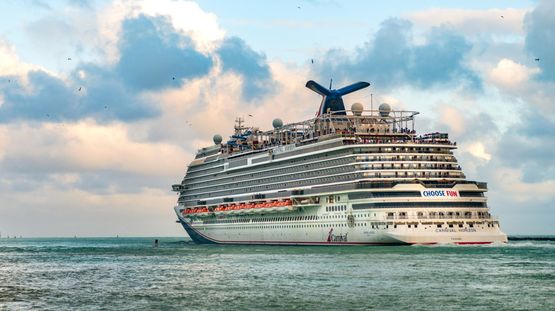 A cruise ship at sea