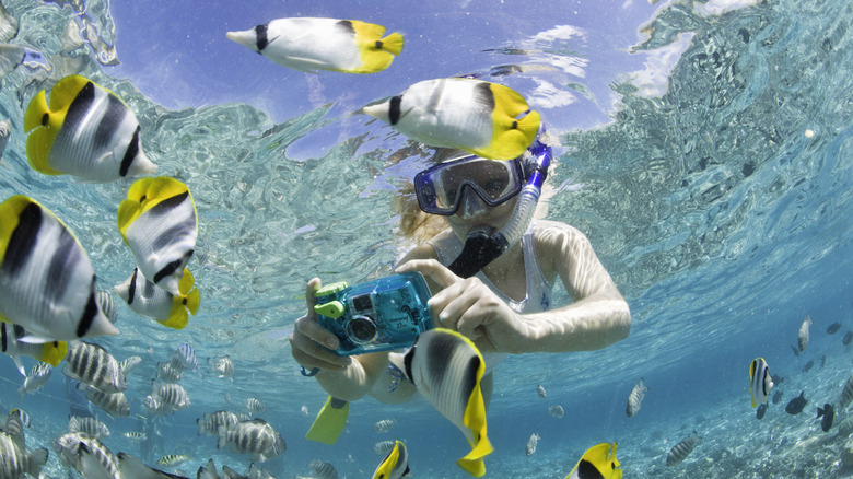 Person taking photo while snorkeling