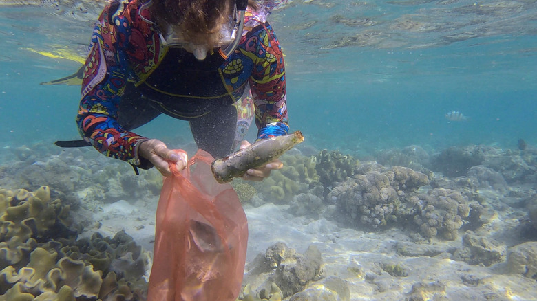 Person cleaning trash while snorkeling