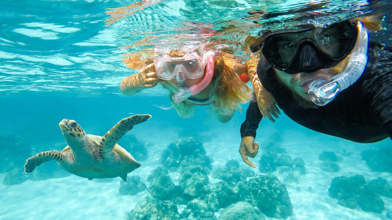 A father and daughter snorkeling next to a sea turtle.