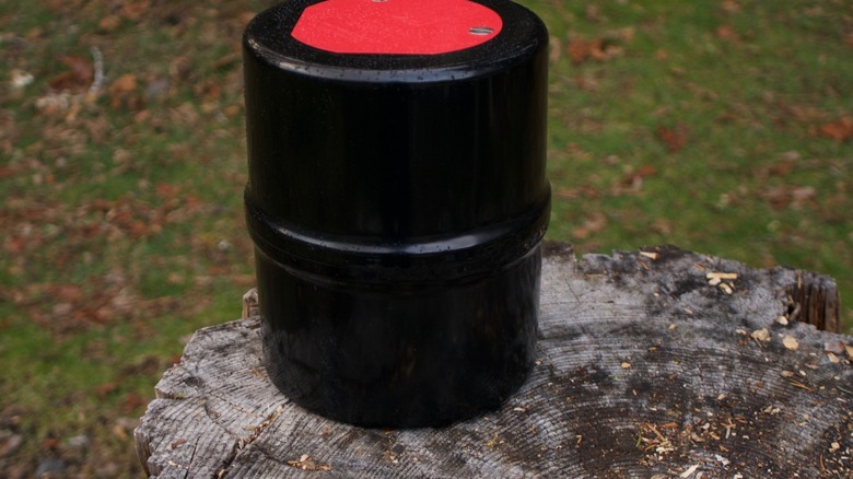 Black bear canister on log