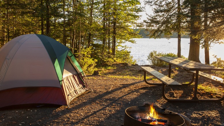 Gray tent and campsite set up in the woods on a sunny day