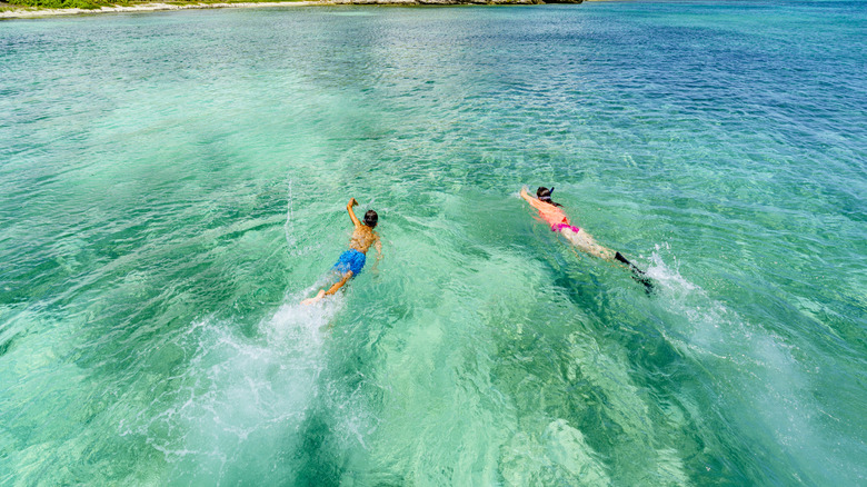 Two people swimming in ocean