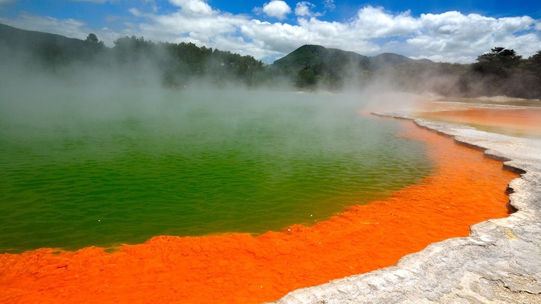 Champagne Pool