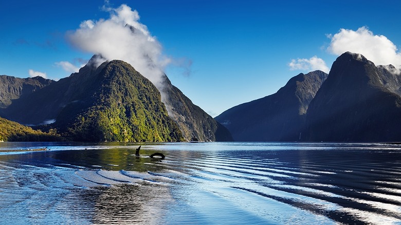 Milford Sound