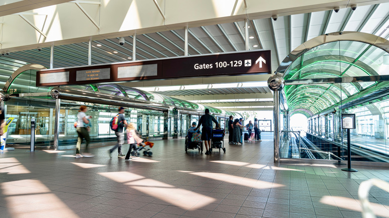 Travelers preparing to enter the TSA line at the airport
