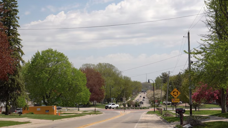 A street lined with trees in Howard, Wisconsin