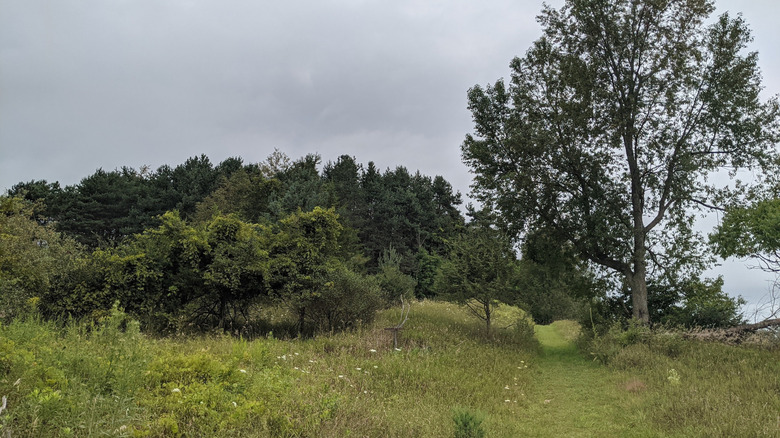 Mowed path cuts through grasslands at Kauffman Nature Sanctuary in Hudson, Michigan