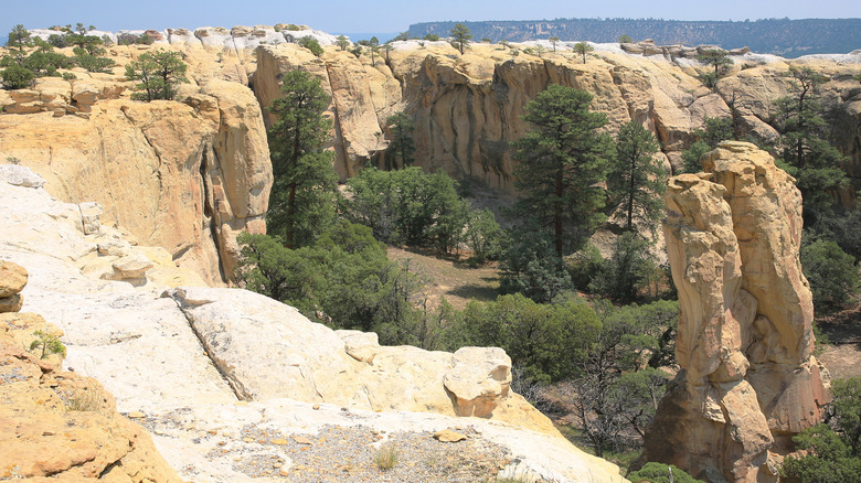 Cliffs and canyon views from the Headland Trail in the El Morro National Monument Park
