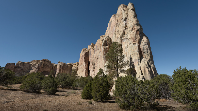 A sharp rock formation justting into the sky surrounded by trees in the high desert forms the El Morro National Monument