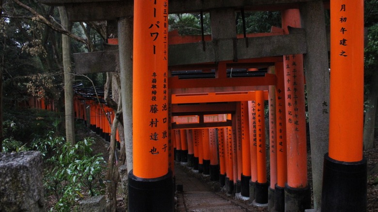 Red Gates at Fushimi Inari