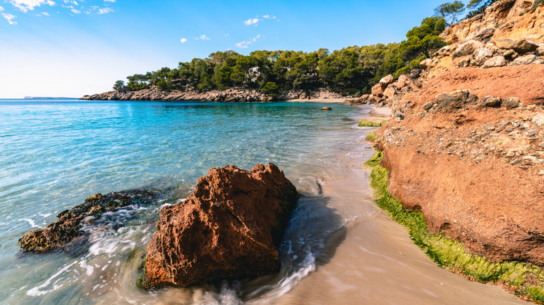Red rock in the surf located in a sandy cove framed with pine trees in Ibiza
