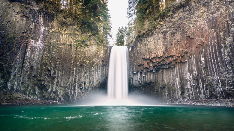 Tall Abiqua Falls hemmed in by basalt columns