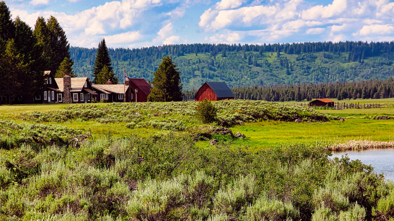 Lush scenery at Harriman State Park in Idaho