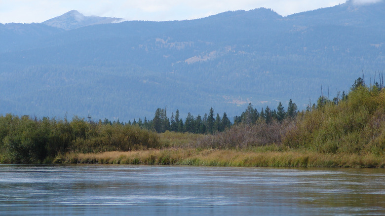 Henry Fork on Snake River in Idaho
