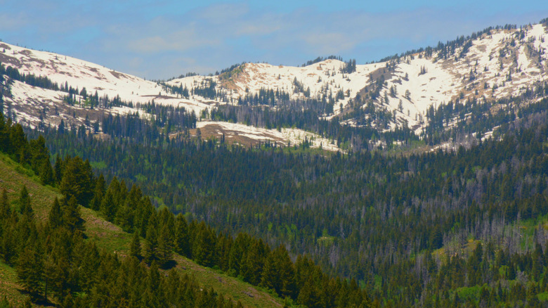 Snow-capped peaks in the Albion Mountain Range in spring