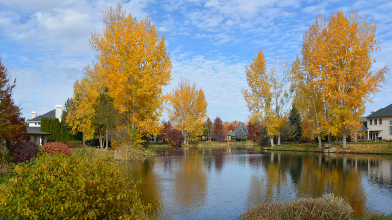 Beautiful scenery in Eagle, Idaho