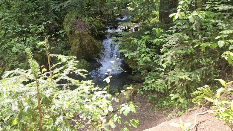 A creek along the Pulaski Trail