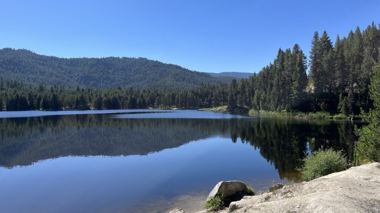 View of water and evergreen trees at Horsethief Reservoir in Idaho on clear summer day.