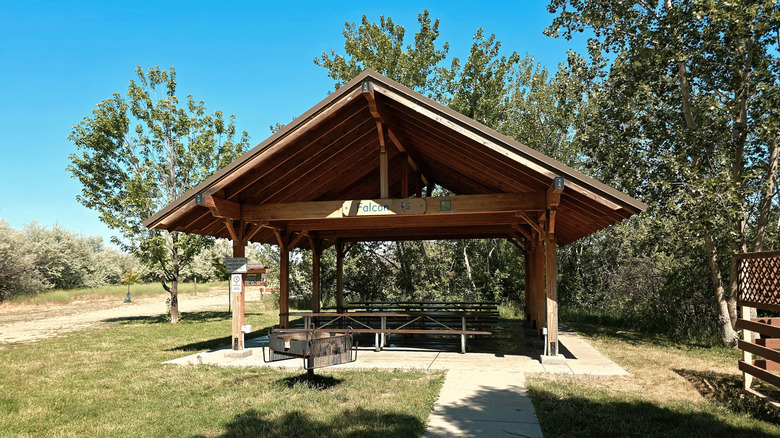 Wooden picnic shelter and trees