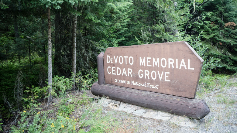 Cedars invite visitors to Devoto Memorial Cedar Grove in Idaho