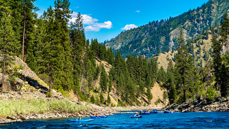 Rafters float a river between tree-covered mountains in the Frank Church—River of No Return Wilderness Area