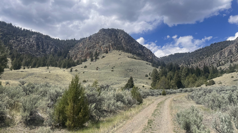 Dirt trail through the mountains at Twin Peaks State Park in Idaho
