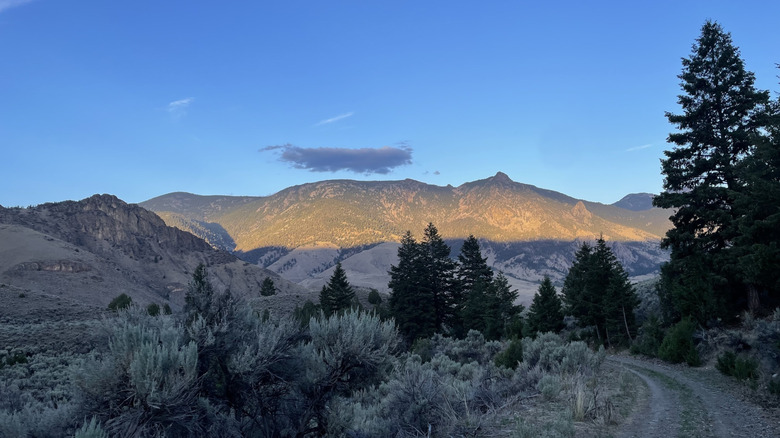 Mountain view at Twin Peaks State Park, Idaho, with pine-covered slopes, sagebrush, and a winding dirt trail