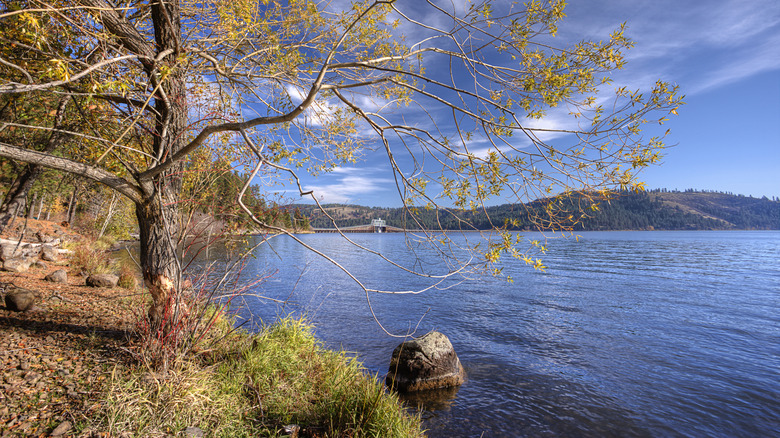 Calm lake under blue sky in Heyburn State Park near Plummer, Idaho