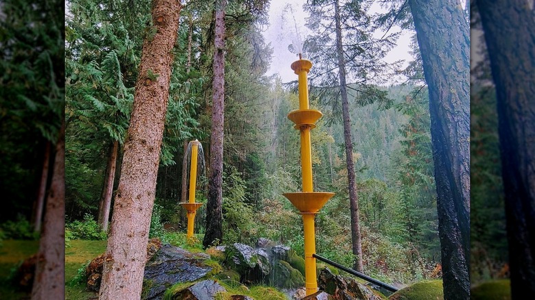 Photo of Elmer's Fountain