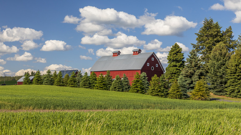 Red barn in a green field in Potlatch, Idaho